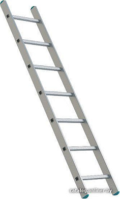 Лестница Sarayli односекционная промышленная 1x13