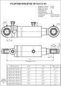 Гидроцилиндр ЦГ-80.56х160.11.000-06 СБ