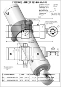 Гидроцилиндр ЦГ-160.80х800.31