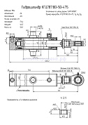 Гидроцилиндр КГЦ 787.80-50-475