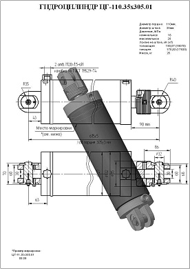 Гидроцилиндр ЦГ-110.35х305.01