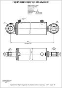 Гидроцилиндр ЦГ-125.63х200.11