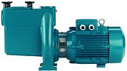 Насос для бассейна с предварительным фильтром CalpedaNMP 32/12DE 220V
